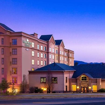 โฮมวู้ด สวีท บาย ฮิลตัน แอชวิลล์ ทันเนล โร้ด Hotel ภายนอก รูปภาพ
